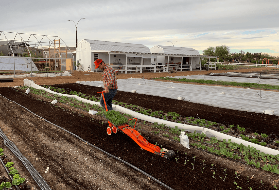 What is Market Gardening? - Modern Grower