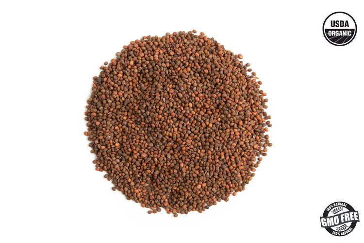 Arugula microgreen seeds