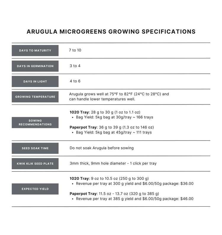 How to grow arugula microgreens