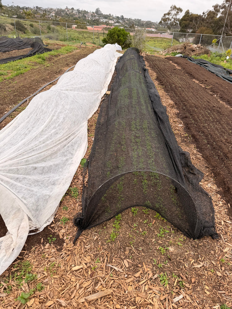 Kwik Hoops Professional Low Tunnels