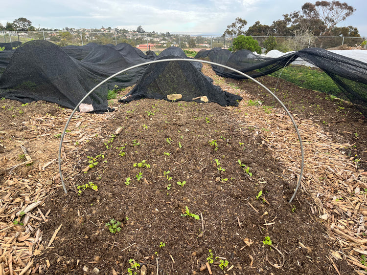 Kwik Hoops Professional Low Tunnels