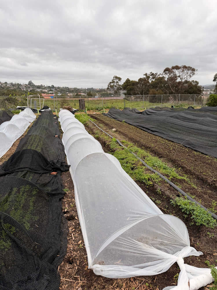 Kwik Hoops Professional Low Tunnels