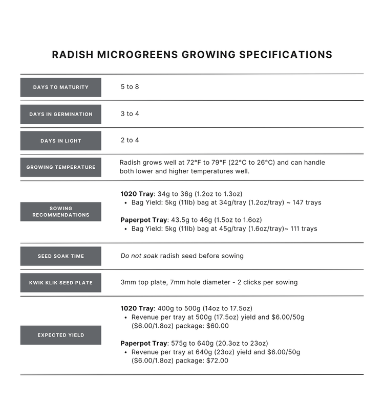 Daikon Radish Microgreen Seed - Modern Grower