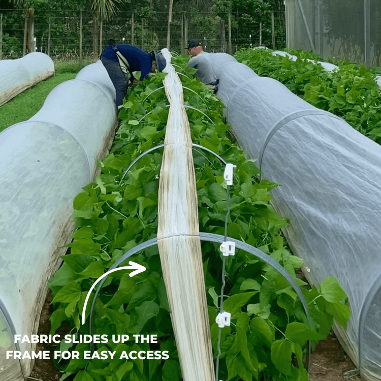 Kwik Hoops Professional Low Tunnels - Modern Grower