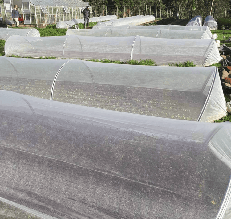 Kwik Hoops Professional Low Tunnels - Modern Grower