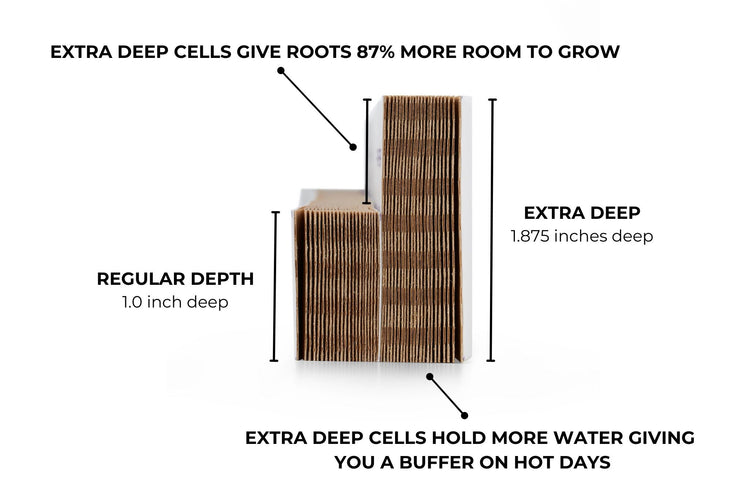 Paper Chain Pots - Extra Deep - Modern Grower