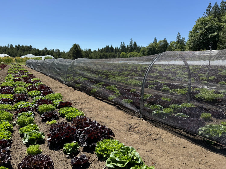 Premium Shade Cloth - Modern Grower
