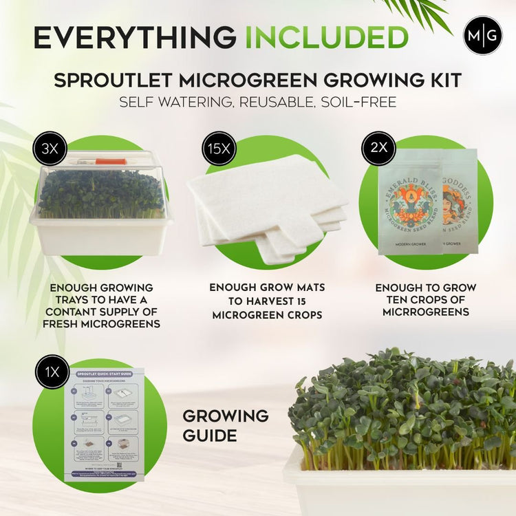 Sproutlet Indoor Microgreen Grow Kit: 3 - Pack - Modern Grower