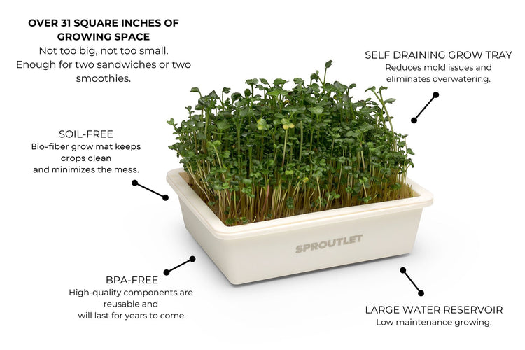 Sproutlet Indoor Microgreen Grow Kit: 3 - Pack - Modern Grower