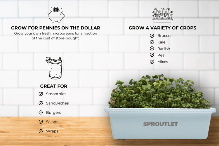 Sproutlet Indoor Microgreen Grow Kit: 3 - Pack - Modern Grower