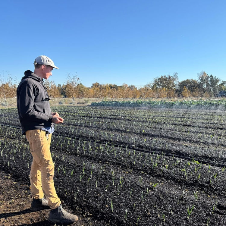 Sumi Soaker Max Irrigation Tubing - Modern Grower