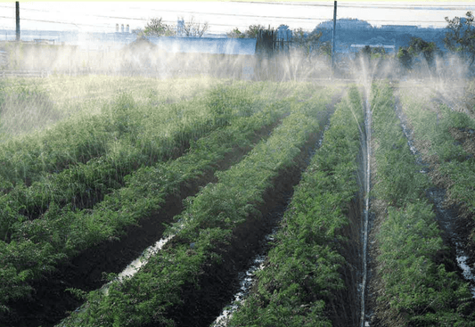 Sumi Soaker Max Irrigation Tubing: Mark II - Modern Grower