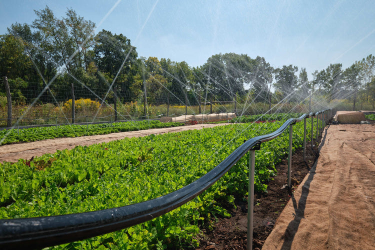 Sumi Soaker Riser Clamp - Modern Grower