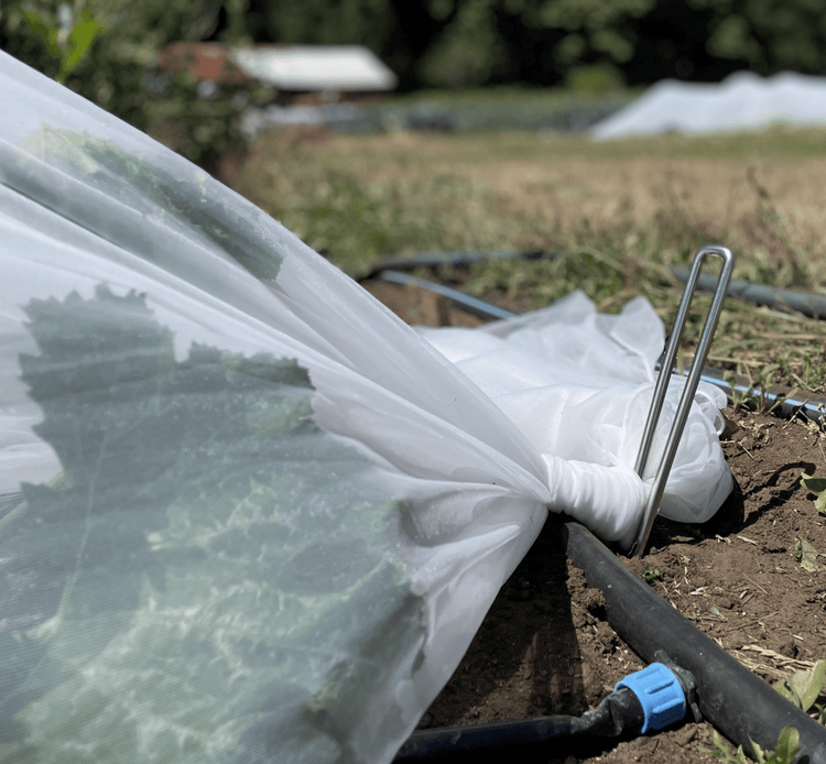 U - Stakes for Kwik Hoops - Modern Grower