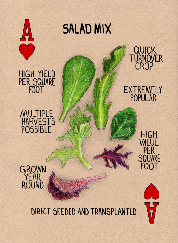 Market Garden Playing Cards - Modern Grower