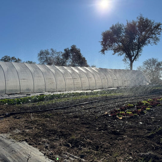 How to Size a Mainline for Sumi Soaker Irrigation — Pipe Sizing Guide - Modern Grower