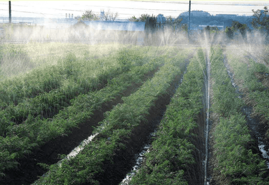 Sumi Soaker Irrigation: What It Is and How It Works - Modern Grower