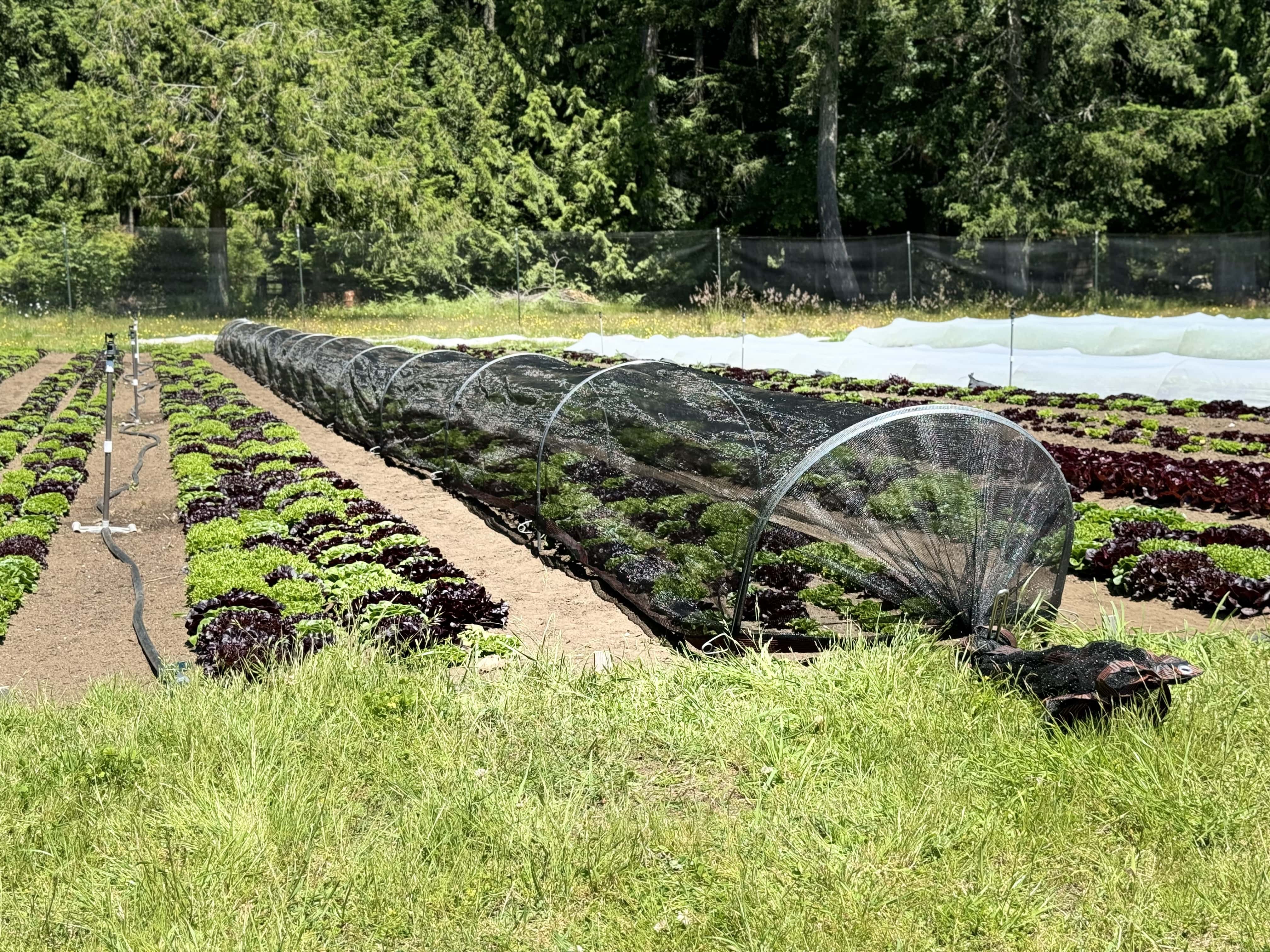 Premium Farm Fabrics Collection | Modern Grower