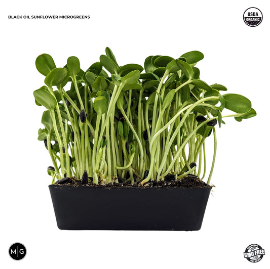 Modern Grower Microgreen Seed