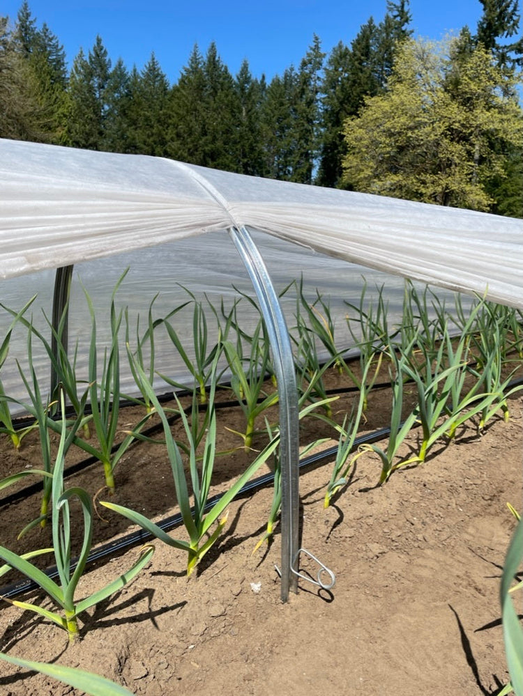 Floating Row Cover - Insect Protection