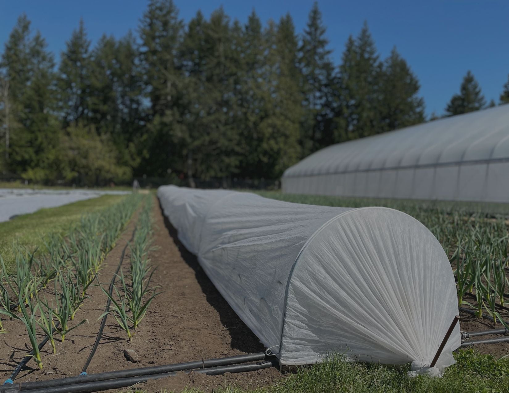 Modern Grower Farm & Garden Tools