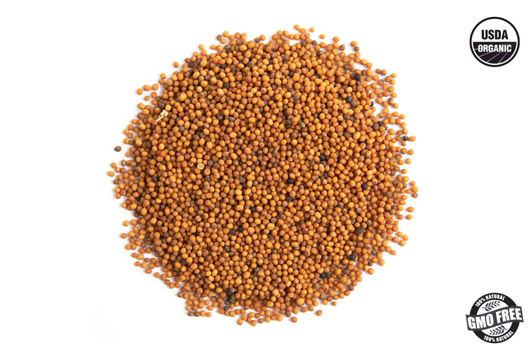 oriental mustard seed