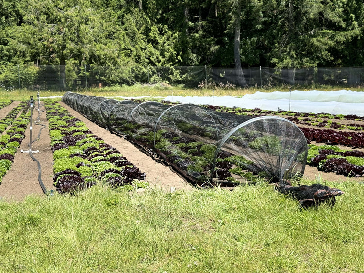 Grower Shade Cloth