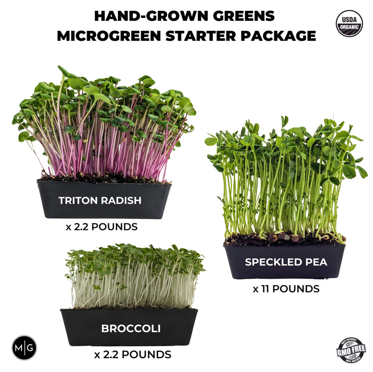 Hand-Grown Greens Microgreen Seed Starter Package