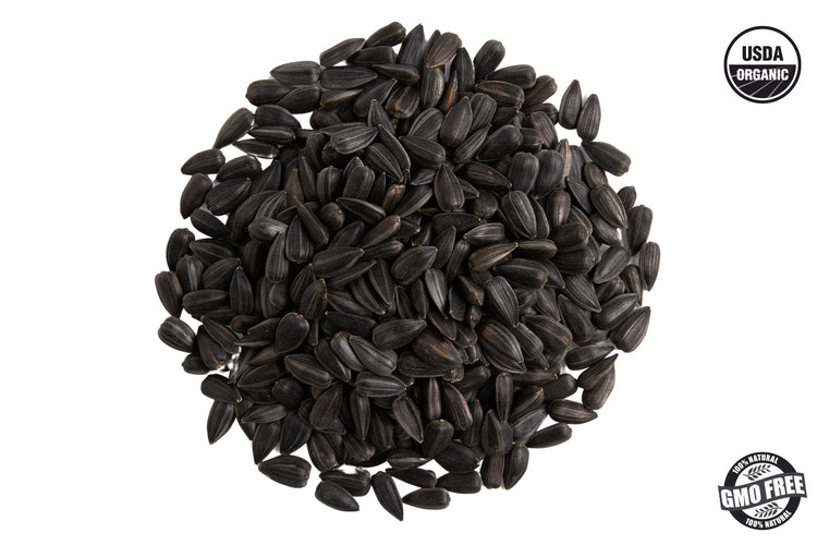 black oil sunflower seeds microgreens