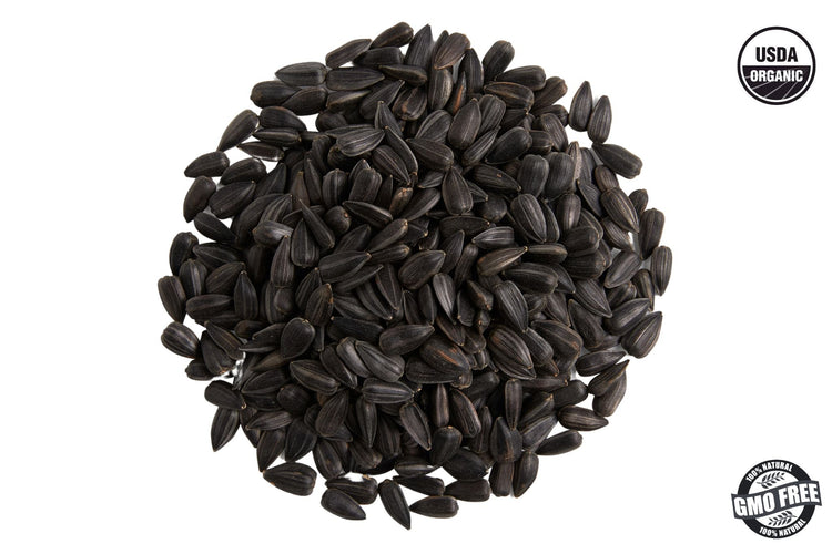 Black Oil Sunflower Microgreen Seed - Modern Grower