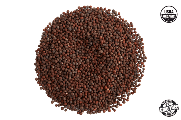 Broccoli Microgreen Seed - Modern Grower