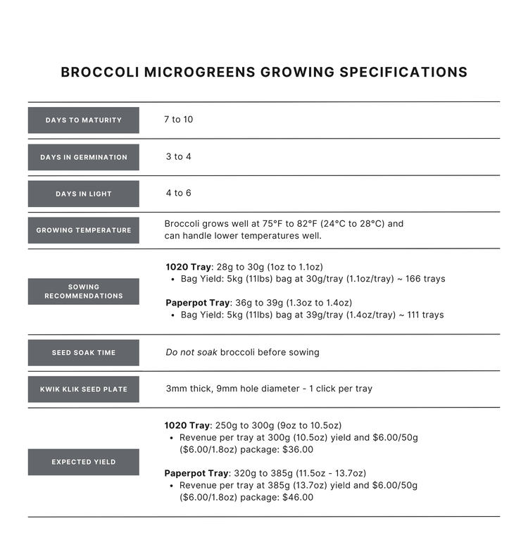 Broccoli Microgreen Seed - Modern Grower