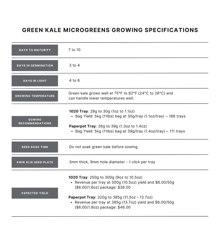 Green Kale Microgreen Seed - Modern Grower