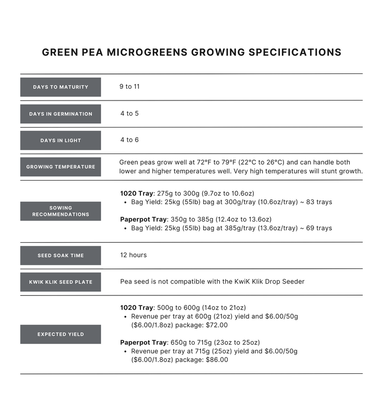 green pea microgreens growing specifications