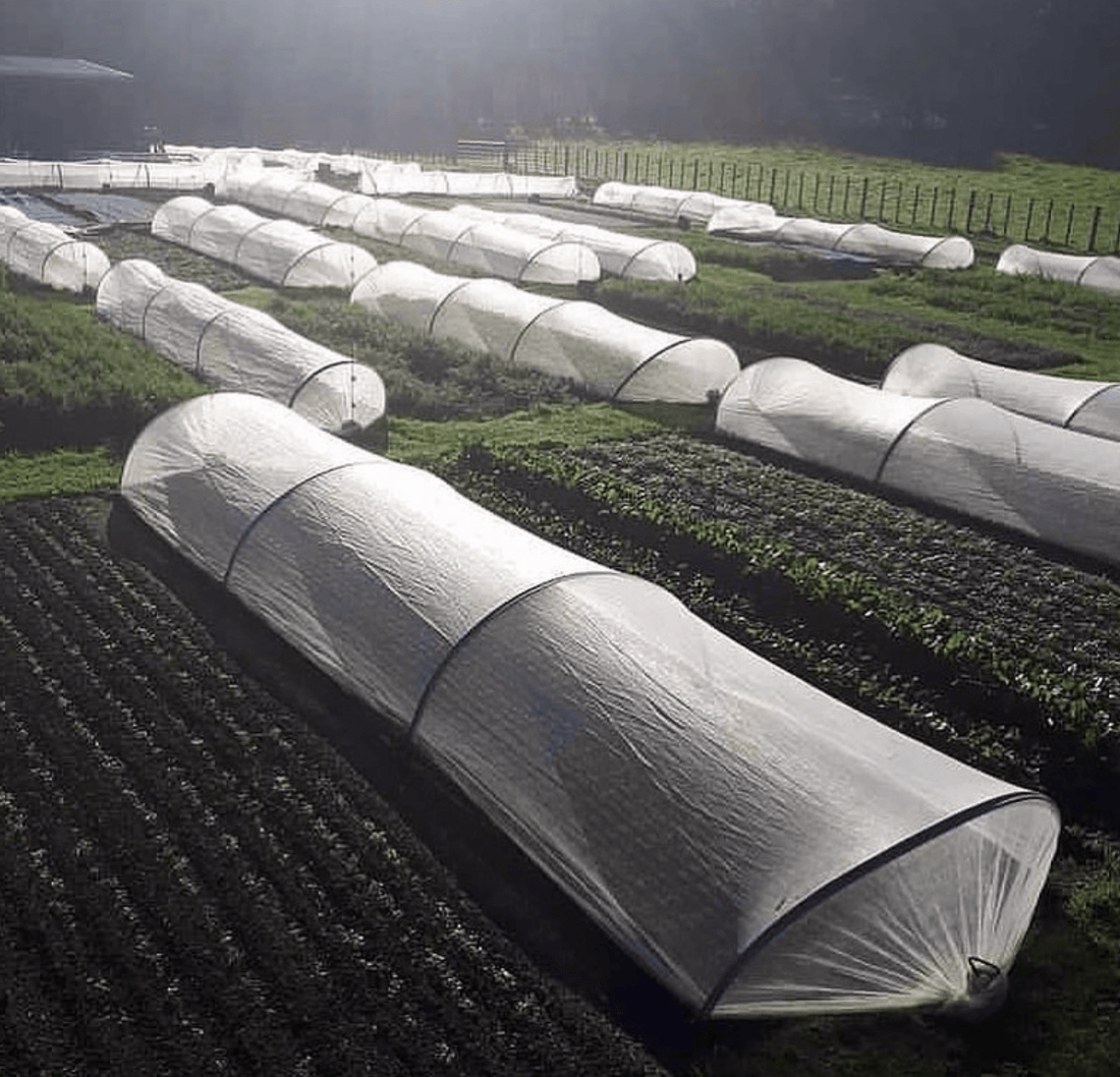 InsectaNet: Insect Protection Netting for Field Crops
