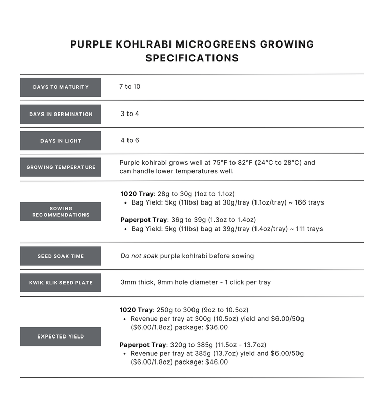 Purple Kohlrabi Microgreen Seed - Modern Grower