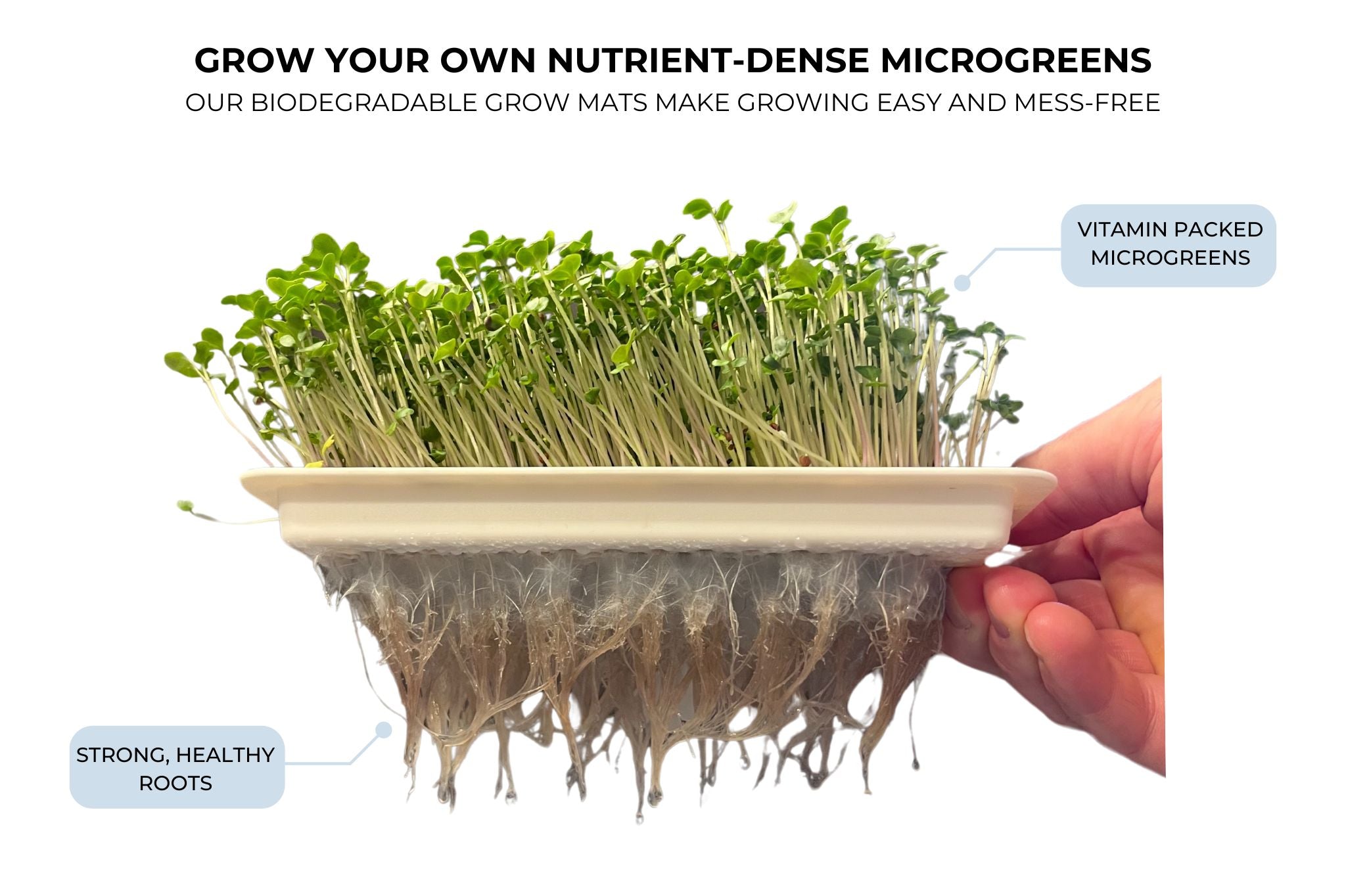 Sproutlet Microgreen Grow Mat Refill Kit