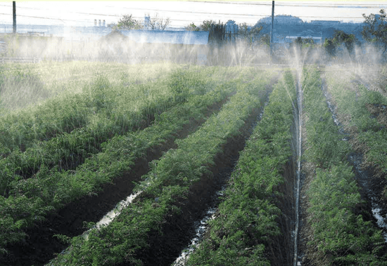 SumiSoaker Mark II Complete Kit | Low Pressure Irrigation System