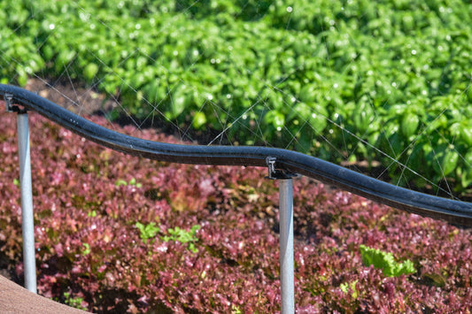 Sumi Soaker Riser Clamp - Modern Grower