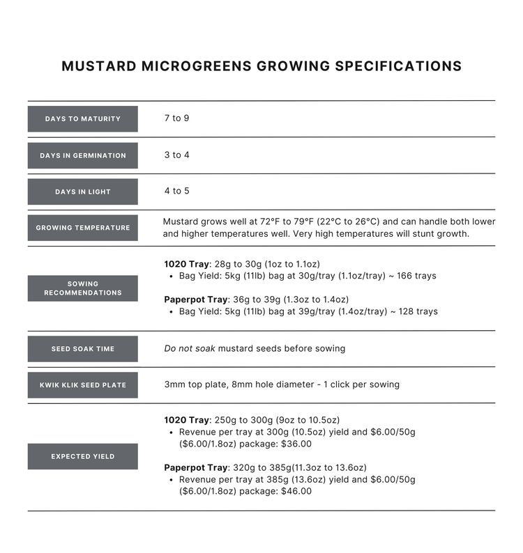 Yellow Mustard Microgreen Seed - Modern Grower