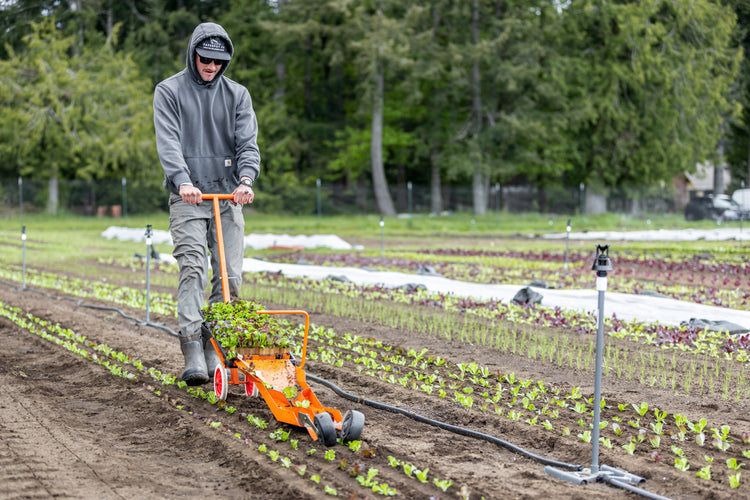 paper pot transplanter