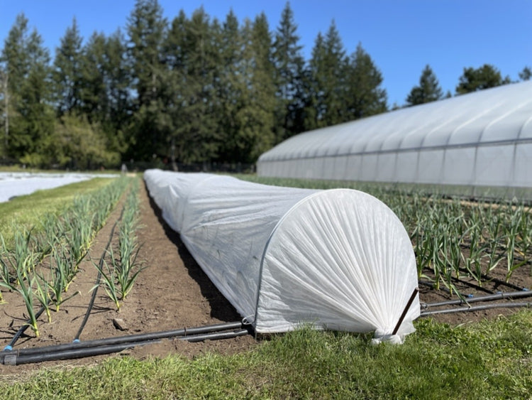 Low Tunnel Crop Protection Bundle