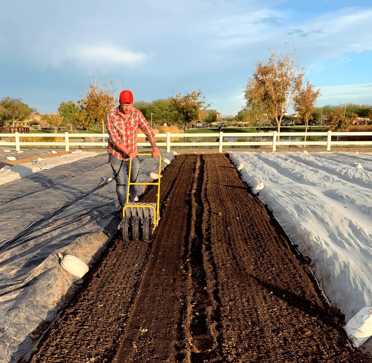 jang seeder planter Jang JP5 Vegetable Row Seeder