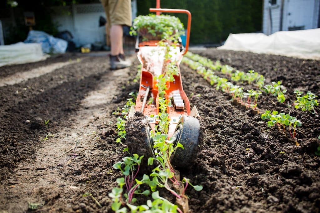 paper pot planting system The Original Paperpot Transplanter