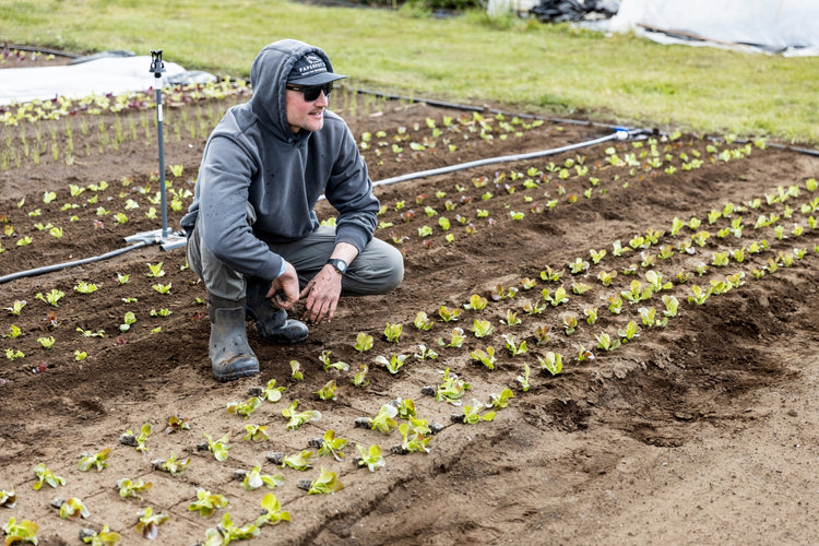 The Original Paperpot Transplanter - Modern Grower